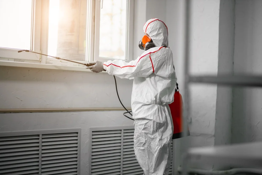 Professional mold remediation services in Doylestown, OH